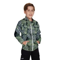 Leaves Foliage Botany Plant Kids  Windbreaker