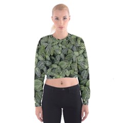 Leaves Foliage Botany Plant Cropped Sweatshirt