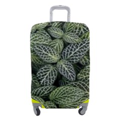 Leaves Foliage Botany Plant Luggage Cover (small)