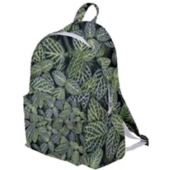 Leaves Foliage Botany Plant The Plain Backpack