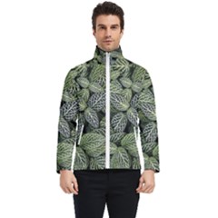 Leaves Foliage Botany Plant Men s Bomber Jacket