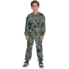 Leaves Foliage Botany Plant Kids  Sweatshirt Set