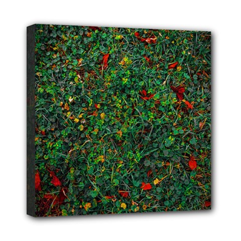 Grass Nature Meadow Mini Canvas 8  X 8  (stretched) by Hannah976