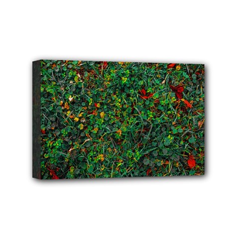 Grass Nature Meadow Mini Canvas 6  X 4  (stretched)