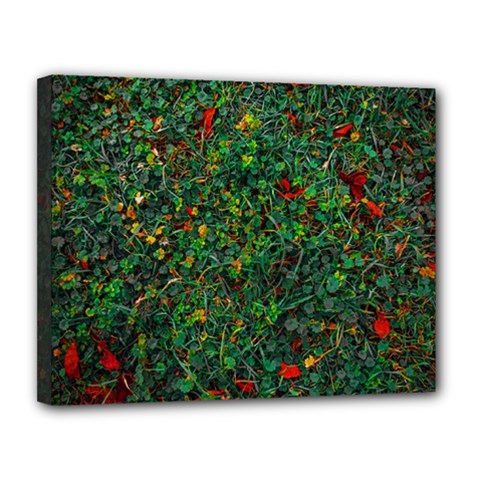 Grass Nature Meadow Canvas 14  X 11  (stretched)