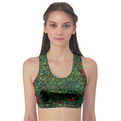 Grass Nature Meadow Fitness Sports Bra