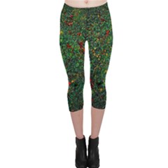 Grass Nature Meadow Capri Leggings 