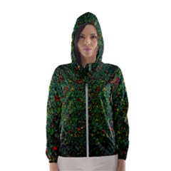 Grass Nature Meadow Women s Hooded Windbreaker