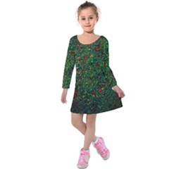 Grass Nature Meadow Kids  Long Sleeve Velvet Dress