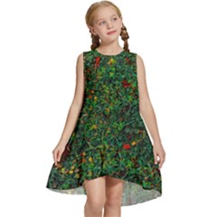 Grass Nature Meadow Kids  Frill Swing Dress