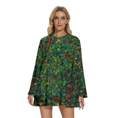 Grass Nature Meadow Round Neck Long Sleeve Bohemian Style Chiffon Mini Dress by Hannah976