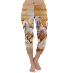 Seven Horses, Sun Capri Winter Leggings 