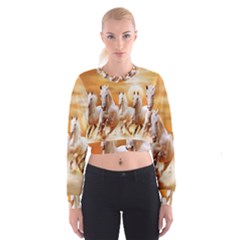 Seven Horses, Sun Cropped Sweatshirt