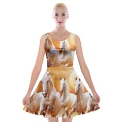 Seven Horses, Sun Velvet Skater Dress