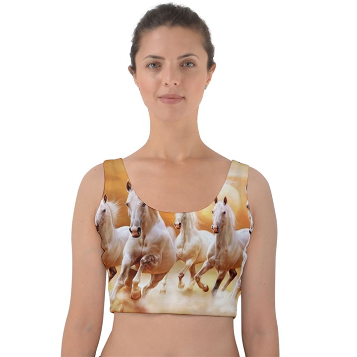 Seven Horses, Sun Velvet Crop Top