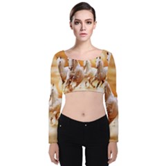 Seven Horses, Sun Velvet Long Sleeve Crop Top by kyorashop23