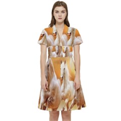 Seven Horses, Sun Short Sleeve Waist Detail Dress