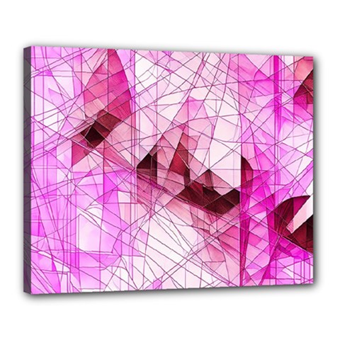 Pink Abstract Lineart Canvas 20  X 16  (stretched) by Maspions