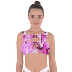 Pink Abstract Lineart Bandaged Up Bikini Top