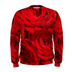 Red Roses , Flowers, Red Roses Men s Sweatshirt