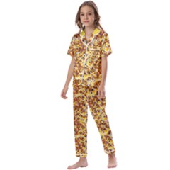 Whimsy Chickens Pattern (ai) Kids  Satin Short Sleeve Pajamas Set by dflcprintsclothing