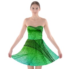 3d Leaves Texture Sheet Blue Green Strapless Bra Top Dress