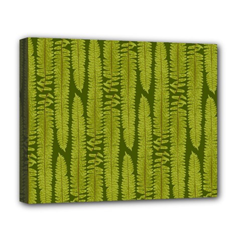 Fern Texture Nature Leaves Deluxe Canvas 20  X 16  (stretched) by Posterlux