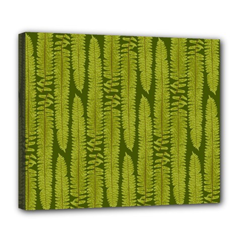 Fern Texture Nature Leaves Deluxe Canvas 24  X 20  (stretched)