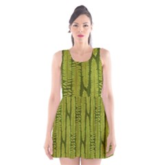 Fern Texture Nature Leaves Scoop Neck Skater Dress