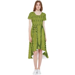 Fern Texture Nature Leaves High Low Boho Dress