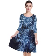 Neurons Brain Cells Structure Quarter Sleeve Waist Band Dress by anzea