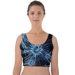 Neurons Brain Cells Structure Velvet Crop Top