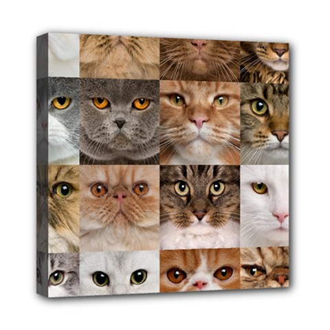 Breeds Of Cats Collage Mini Canvas 8  X 8  (stretched) by kyorashop23