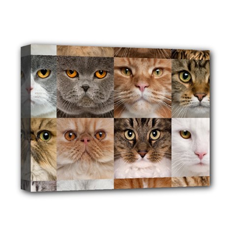 Breeds Of Cats Collage Deluxe Canvas 16  X 12  (stretched)  by kyorashop23