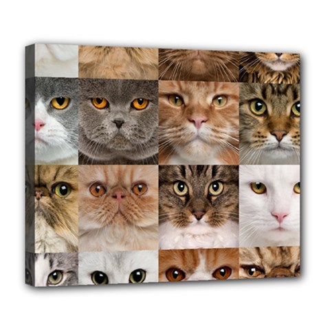 Breeds Of Cats Collage Deluxe Canvas 24  X 20  (stretched) by kyorashop23