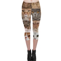 Breeds Of Cats Collage Capri Leggings  by kyorashop23