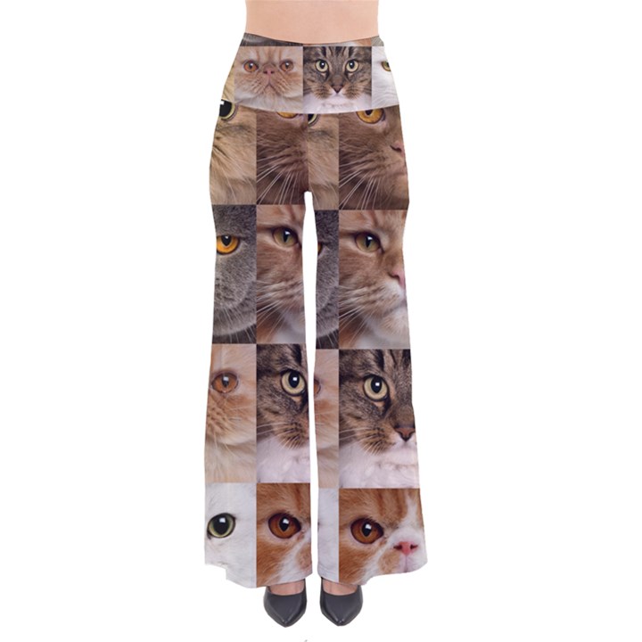 Breeds Of Cats Collage So Vintage Palazzo Pants