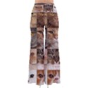 Breeds Of Cats Collage So Vintage Palazzo Pants View2