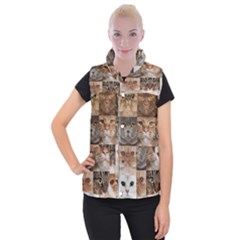 Breeds Of Cats Collage Women s Button Up Vest