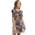 Breeds Of Cats Collage Kids  Frilly Sleeves Pocket Dress View2