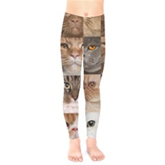 Breeds Of Cats Collage Kids  Classic Winter Leggings