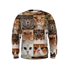 Breeds Of Cats Collage Kids  Sweatshirt