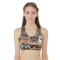 Breeds Of Cats Collage Sports Bra With Border