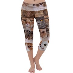 Breeds Of Cats Collage Capri Yoga Leggings by kyorashop23