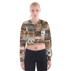 Breeds Of Cats Collage Cropped Sweatshirt