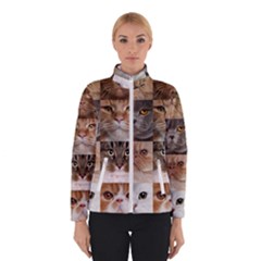 Breeds Of Cats Collage Women s Bomber Jacket