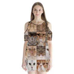 Breeds Of Cats Collage Shoulder Cutout Velvet One Piece