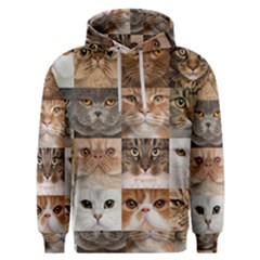 Breeds Of Cats Collage Men s Overhead Hoodie