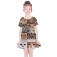 Breeds Of Cats Collage Kids  Simple Cotton Dress by kyorashop23