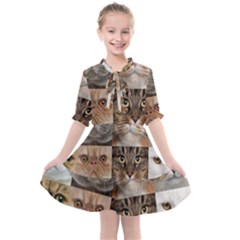 Breeds Of Cats Collage Kids  All Frills Chiffon Dress by kyorashop23